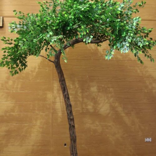 tree-10